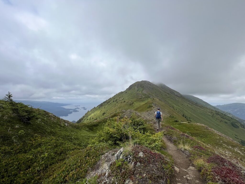 Alaska Berry Picking in Kachemak Bay